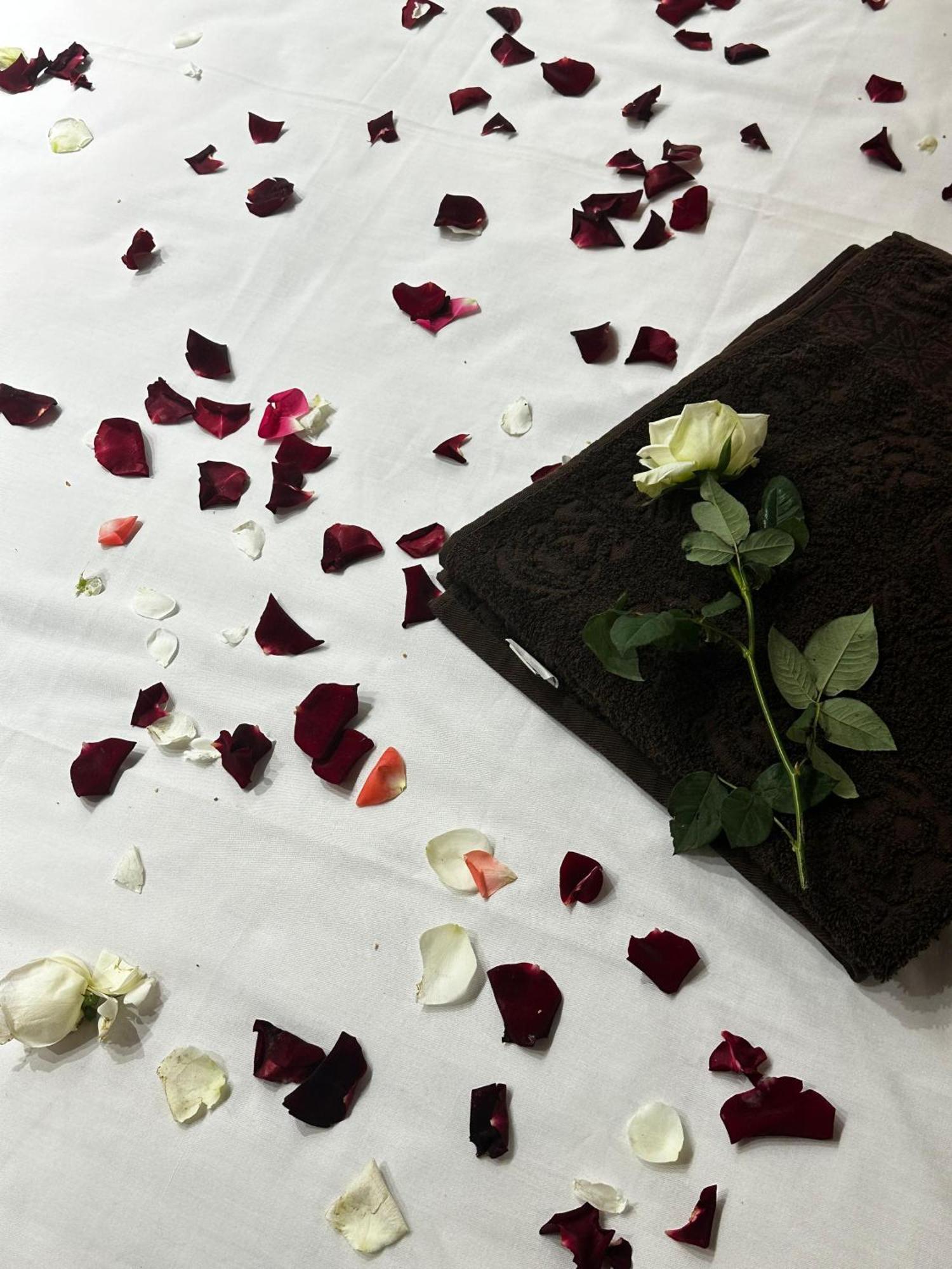 Riad Zohor Fes Ngoại thất bức ảnh